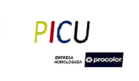 logo picu